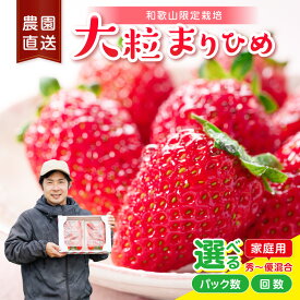 【ふるさと納税】大粒の贅沢！「まりひめ」を農家直送で【家庭用】2パック 4パック 1回 2回 4回【配送不可地域：北海道・青森・秋田・岩手・沖縄・離島】