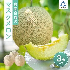 【ふるさと納税】農園自慢の「マスクメロン」×3玉入り《先行予約》2025年6月下旬から順次発送【配送不可地域：北海道・青森・秋田・岩手・沖縄・離島】