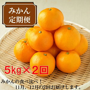 yӂ邳Ɣ[ŁzI݂ց@5kg@2i11A12j