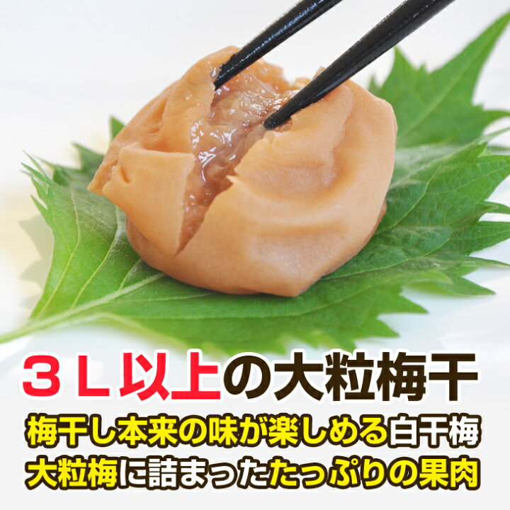 南高梅干し 無添加しらぼし 昔ながらのすっぱい梅干し 訳あり 1キロ かたおか農園 通販 コクボ物流無添加 無着色 和歌山産 南高梅 白干し梅 梅干し Lサイズ3kg 産地直送 Salaweselnayuca Pl 南高梅干し 無添加しらぼし 昔ながらのすっぱい梅干し 訳あり 1キロ かたおか農園 通販 コクボ物流無添加 無着色 和歌山産 南高梅 白干し梅 梅干し Lサイズ3kg 産地直送 Salaweselnayuca Pl