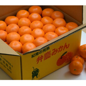 楽天市場 温州みかん 10kg 送料無料の通販