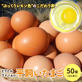 【ふるさと納税】とりとんファームの平飼いたまご50個（ばら売り） / たまご 卵 卵焼き 卵がけご飯 料理 ご飯のお供 田辺市 鶏卵 平飼い 和歌山県