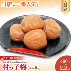 【ふるさと納税】 高評価★5 紀州南高梅 村っ子梅（塩分約8％） はちみつ梅干し 【選べる容量 400g～2kg】 / 和歌山 田辺市 紀州南高梅 南高梅 梅干し 梅干 梅 はちみつ入り 減塩 塩分控えめ ご飯のお供