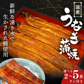 【ふるさと納税】 うなぎ 国産うなぎ蒲焼 タレ付 / 和歌山 田辺市 国産 国産うなぎ 国産鰻 鰻 蒲焼 かば焼き 土用の丑の日 冷凍