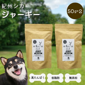 yӂ邳Ɣ[ŁzYEp IBVJ W[L[50g×2 /   VJ Y ybgp    ybg W[L[ J[ hbOt[h