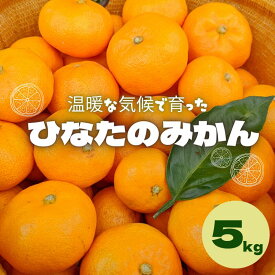 【ふるさと納税】【先行予約】ひなたのみかん 5kg ※2024年12月頃に順次発送予定【期間限定・先行予約・2024/11/30まで】 / 和歌山 田辺市 みかん 期間限定 先行予約 ミカン 紀州