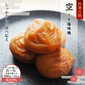 yӂ邳Ɣ[ŁzTCYEeʂIׂI ~~uv9% Ai 500g 1kg 2L 3L / a̎R a̎RY IB썂~ 썂~ ~ ~ ~ Ai 2LTCY 3LTCY  