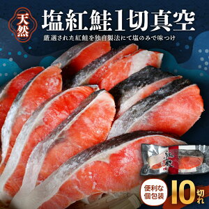 yӂ邳Ɣ[Łz ŕ֗ VRVAY g10؂i70g×10pj ^pbN /  TP VP  Ⓚ  ٓ   蕨 Mtg ؂g a̎R cӎs