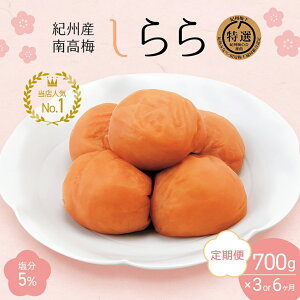 yӂ邳Ɣ[Łz yցzIBY썂~ ~  i5j700gi350g×2jyԂIׂ 3 6z / ~ ~ ~ cHi a̎R c IB썂~ 썂~   