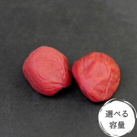 【ふるさと納税】紀州蔵出し 完熟南高梅 しそ漬セット 選べる容量 800g 2.4kg / 和歌山 田辺市 紀州南高梅 南高梅 梅干し 梅干 梅 うめ 肉厚 お米 おにぎり 焼酎 梅酒 健康 しそ漬け梅干し 紫蘇 シソ 和歌山