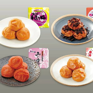 yӂ邳Ɣ[Łz IB썂~4퐷 IB葢~i10jEIB~i8jEIBД~i11jEIB썂~uvi5je800g / cӎs IB썂~ 