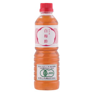yӂ邳Ɣ[Łz L@~| 500ml / IB썂~ 썂~ ~ ~ ~  |  a̎R cӎs