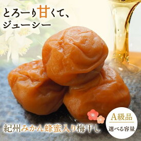 【ふるさと納税】 紀州みかん蜂蜜入り梅干（塩分約5％）【選べる容量】400g～800g / 田辺市 紀州南高梅 南高梅 梅干し 梅干 梅 うめ 肉厚 お米 おにぎり 焼酎 梅酒 健康