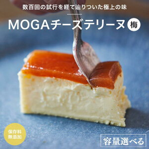 yӂ邳Ɣ[ŁzMOGA`[Ye[ki~jyIׂ{z1{ 2{ / cӎs `[Ye[k ~`[Ye[k `[YP[L َq XC[c Mtg v[g