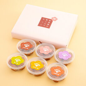 【ふるさと納税】 紀州南高梅 味くらべセット6種 各100gセット / 田辺市 紀州南高梅 南高梅 梅干し 梅干 梅 肉厚 お米 おにぎり 焼酎 梅酒 健康 セット 食べ比べ