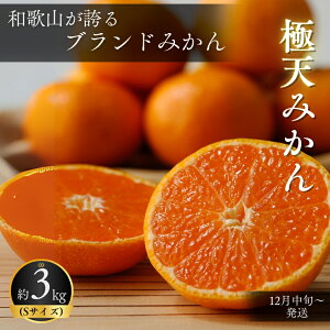 yӂ邳Ɣ[ŁzJAIuh@_Ǝ́uɓV݂(؏n)v 3kg (STCY) 12{`\yԌEs\E11/30܂Łz / cӎs B݂ ݂ ~J ؏n݂