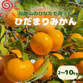 【ふるさと納税】日向屋 ひだまりみかん 【容量選べる】 2～10kg（箱込み） ※2026年12月頃に順次発送予定【期間限定・2026/11/30まで】 / 和歌山 田辺市 みかん 期間限定 先行予約 ミカン 紀州