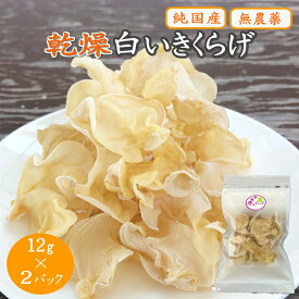 【ふるさと納税】乾燥白いきくらげ 12g×2パック / 田辺市 きくらげ 乾燥 天然 無添加 栄養豊富 中華料理 サラダ