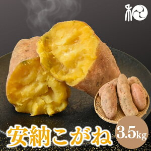 yӂ邳Ɣ[Łzy2025N\zw[ˁx ̈[(܂)@3.5kg yԌEs\E1115܂Łz11{`12{ɏ\ / [ { Â Ƃ낯 