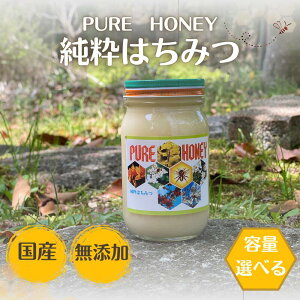 yӂ邳Ɣ[ŁzPURE HONEY ݂͂@yeʑIׂz / cӎs ݂͂ n`~c I Y Y