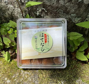 【ふるさと納税】紀州南高梅干し はてなし(塩分約8%)【800g or 1.2kg】 / 紀州南高梅 南高梅 梅 梅干し 味梅 うめ 和歌山県 田辺市