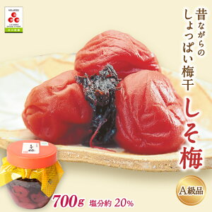 yӂ邳Ɣ[ŁẑȂ̂ς~ ~i20%j700g / cӎs IB썂~ 썂~ ~ ~ ~ Ђ~ ~ Ԃ 20