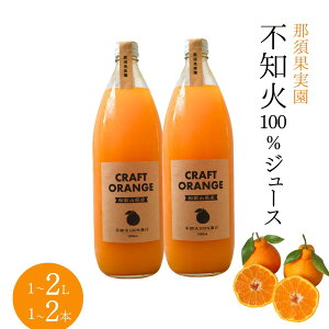yӂ邳Ɣ[Łz sm΃W[X CRAFT ORANGE 100ʏ` yIׂ{z1{ 2{ / IWW[X ʏ` ʕ ̃W[X ݂W[X fR| sm a̎R c