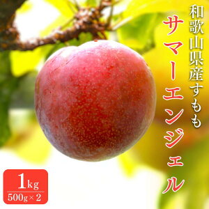 yӂ邳Ɣ[Łz s\ iT}[GWFj1kg 6{`7{ɏ\yԌEʌE2026/6/20܂Łz / X  Ԍ  t[c ʕ a