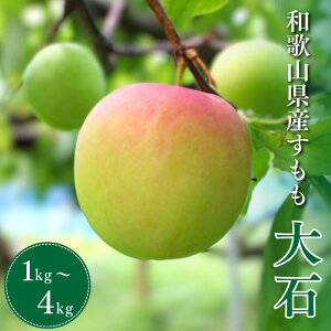 yӂ邳Ɣ[Łz s\ i΁j yIׂeʁz 1kg 2kg 4kg 2025N5{`6{ɏ\yԌE2025/5/31܂Łz / X  Ԍ  t[c ʕ a