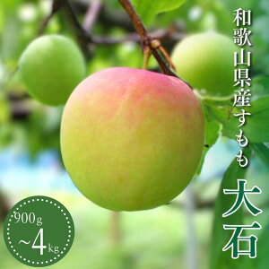 yӂ邳Ɣ[Łz s\ i΁j yIׂeʁz 900g 1.8kg 4kg 2025N5{`6{ɏ\yԌE2025/5/31܂Łz / X  Ԍ  t[c ʕ 
