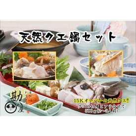 【ふるさと納税】 天然クエ 15kg以上 クエ鍋セット 500g(2～3人前） / 和歌山 田辺 高級 くえ鍋 クエ鍋 本クエ ポン酢 ぽんず 田辺市 和歌山県 冷凍 生 海の幸