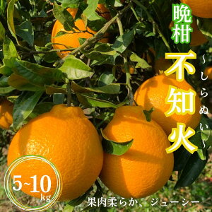 yӂ邳Ɣ[Łzys\zӊ sm Iׂe 5kg 10kg y2{ȍ~\z / a̎R cӎs ݂ Ӑ k