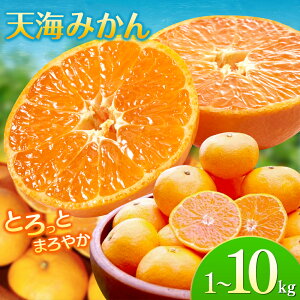 �y�ӂ邳�Ɣ[�Łz �݂��� �V�C�݂��� ���n�{�쑁�� 1kg 3kg 5kg 10kg ��2025�N12�����珇������ / �݂��� �a�̎R �~�J�� �t���[�c �ʕ� �����݂��� ���k �c�ӎs �Â� �_�ƒ��� �Y�n���� �������� �{ 