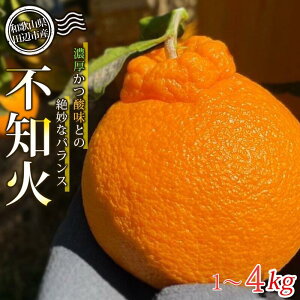 yӂ邳Ɣ[Łzys\zsm yIׂeʁz 1kg 4kg ys\z2026N3珇\聦 / ݂  ~J a̎R ʂ fR| t[c ʕ k cӎs