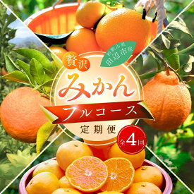 【ふるさと納税】 \リピート多数！/【大人気柑橘】 【4回定期便】和歌山 贅沢みかんフルコース ※2025年12月より発送（12/23まで）/ 宮川早生みかん・ポンカン・紅八朔・不知火 / 3kg 4kg 和歌山県 ミカン フルーツ 果物 柑橘 デコポン 高級 田辺市 みかん くだもの