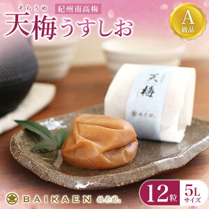 yӂ邳Ɣ[ŁzIB썂~ V~(炤) 12  8 Ai 嗱5LTCY ؔ / ~ ~ ߂ڂ 썂~ Y ~  E N т̂  蕨 a