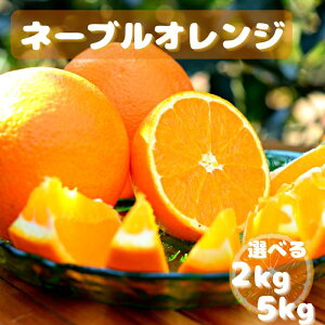 yӂ邳Ɣ[Łzys\zl[uIWyIׂe2kg 5kgz2026N3{ȍ~\ / cӎs a̎R ݂ ~J k B݂ t[c IW l[u