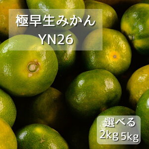 yӂ邳Ɣ[Łzys\zɑ݂@YN26 yIׂe2kg 5kgz@9{ȍ~\ / a̎R cӎs ݂ ݂ k
