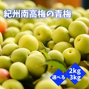 yӂ邳Ɣ[Łzys\zIB썂~̐~ yIׂe2kg 3kgz 2026N6{ȍ~\ / a̎R cӎs IB썂~ 썂~ ~ ~ ~  ~ ~Vbv ~