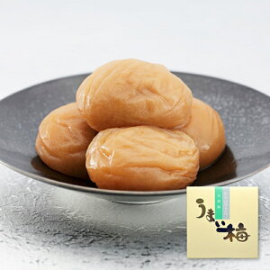 yӂ邳Ɣ[Łz ܂~ ~/7 y Iׂe 500g ` 1kg z / ~ ~ IB썂~ 썂~ ~ a̎R c ܂   7 T т̂