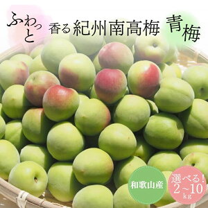 yӂ邳Ɣ[ŁzӂƍIB썂~@~@eʑIׂI2kg 3kg 5kg 10kg 2026N6{`7{ɏ\yԌF2026N615܂Łz / a̎R cӎs IB썂~ 썂~ ~