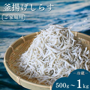 yӂ邳Ɣ[Łz g炷iƒpjy500g`1kgzkCEEzs / 炷 VX 炷 Ԃ ƒp ①  a̎R cӎs