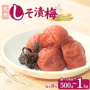 yӂ邳Ɣ[ŁzVR Д~yIׂe500g`1kgz8% / cӎs IB썂~ 썂~ ~ ~ ~   Д~  h