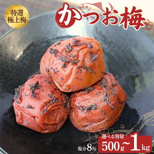 yӂ邳Ɣ[Łz ~yIׂe500g`1kgz8%/ ̎R ~ cӎs IB썂~ 썂~ ~ ~  ~