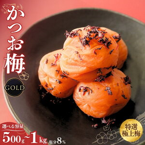 yӂ邳Ɣ[Łz ~yGOLDz8%yIׂe500g`1kgz / cӎs IB썂~ 썂~ ~ ~ ~    ~ 