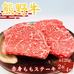 yӂ邳Ɣ[Łz F싍ԐgXe[L120gyIׂz2`4 / a̎R cӎs {{   F싍 a Xe[L  Ⓚ Mtg 