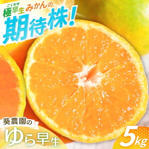 yӂ邳Ɣ[Łzys\zɑ݂ 瑁 yGiz 5kgiTCYjy2025N10菇z / ݂ ~J  a̎R  B cӎs IB  k t[c
