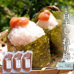 【ふるさと納税】白干し ねり梅 180g 塩分20% 添加物不使用 / 梅 うめ ウメ 梅干し 梅干 白干し 南高梅 紀州南高梅 和歌山県 田辺市