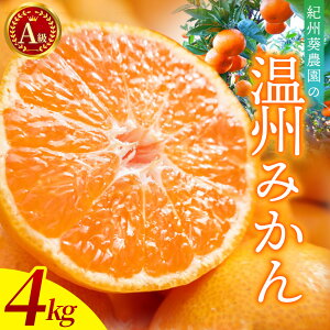 yӂ邳Ɣ[Łz_s\^ B݂ 4kg AiTCYjy2025N11{菇z / B~J ~J JLc IW a̎R cӎs IB  k t[c