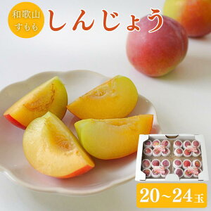 【ふるさと納税】 <先行予約>すもも(しんじょう)4パック ※2026年6月中旬〜6月下旬頃に順次発送予定【期間限定・数量限定】 / スモモ プラム 冷蔵 季節限定 お取り寄せ 産地直送 贈答品
